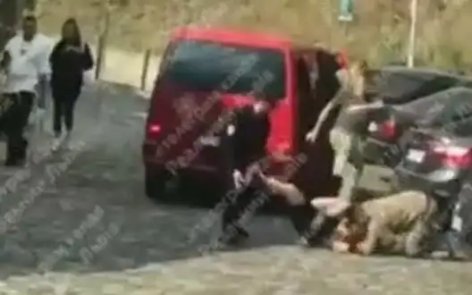 In Lviv, employee of TCRSS kicked civilian man twice in presence of policeman. VIDEO