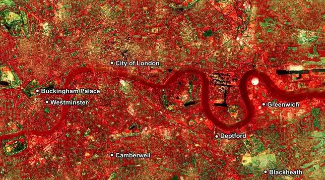 Простой трюк позволит снизить температуру в городе на 2°C: что спасет в самые жаркие дни