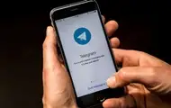 Telegram будет выдавать данные пользователей правоохранителям