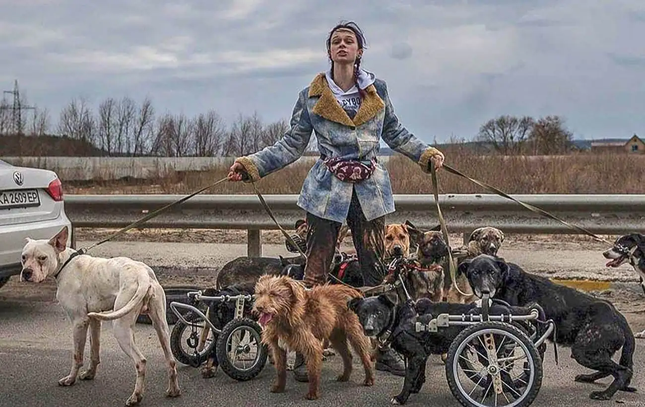 "Животные мне как дети". Где сейчас Анастасия Тихая, спасшая собак из Ирпеня в начале войны