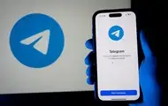 В Раде ограничат использование Telegram