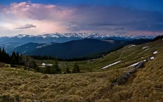 In Carpathians, bear mauled evader. PHOTO 18+