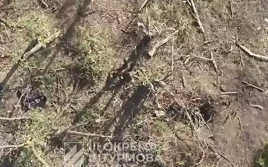 Soldiers of 3rd SAB destroy occupiers in Kharkiv region with drone drops. VIDEO