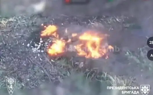 Fighters of Presidential Brigade destroy group of Russian infantry in Svatove direction. VIDEO