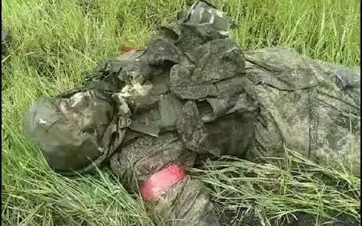 Ukrainian paratroopers eliminated platoon of Russian marines in Kursk region. VIDEO