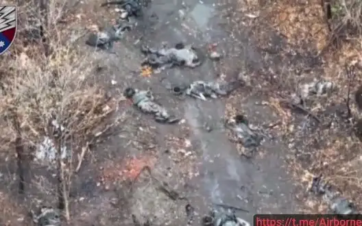 About 15 liquidated Russian attack aircraft lie on battlefield. VIDEO