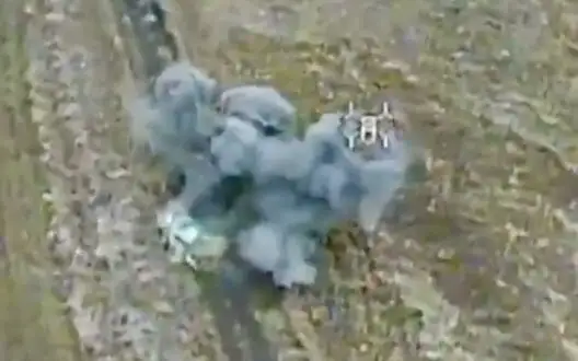 Russian SUV "Niva" explodes after "Wild Hornets" drone attack. VIDEO