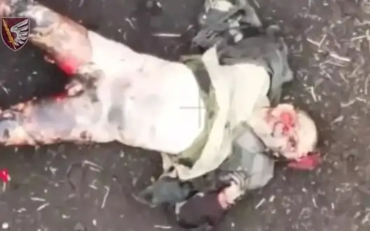 Eliminated occupier lying helpless in field after Ukrainian drone attack. VIDEO