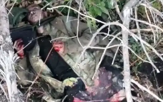 Death convulsions of occupier after drop from Ukrainian drone. VIDEO 18+