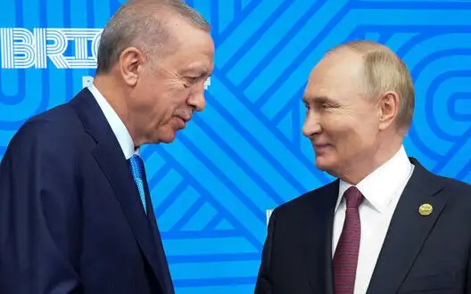 Erdogan: At meeting with Putin, I saw that he wants ceasefire