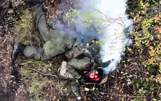 Body of liquidated occupier smokes profusely on battlefield. VIDEO