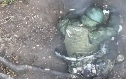 Destruction of occupiers near village of Krasnyi Yar in Pokrovsk direction. VIDEO 18+