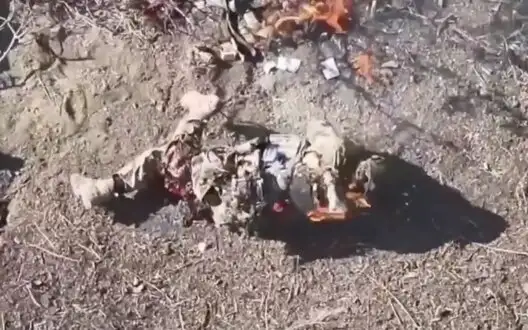 Burning occupier with damaged leg rolls on ground and tries to knock down flames. VIDEO