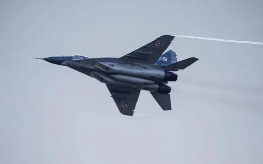 Poland found other reasons not to transfer MiG-29 to Ukraine, despite agreement with NATO - Zelenskyy