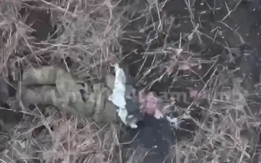 Occupier lost his head after Ukrainian drone’s drop. VIDEO 18+