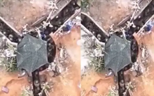 Two dozen North Koreans in trench in Kursk Oblast hold their heads up and watching Ukrainian drone’s ammunition falling on them. VIDEO