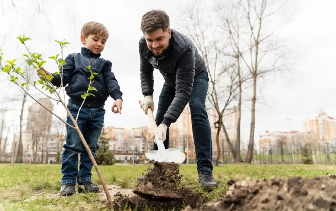 7 деревьев, которые нельзя сажать осенью. Они не приживутся!