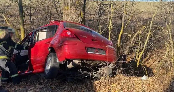 На Вінниччині легковик влетів в дерево: загинула водійка та її 12-річний син