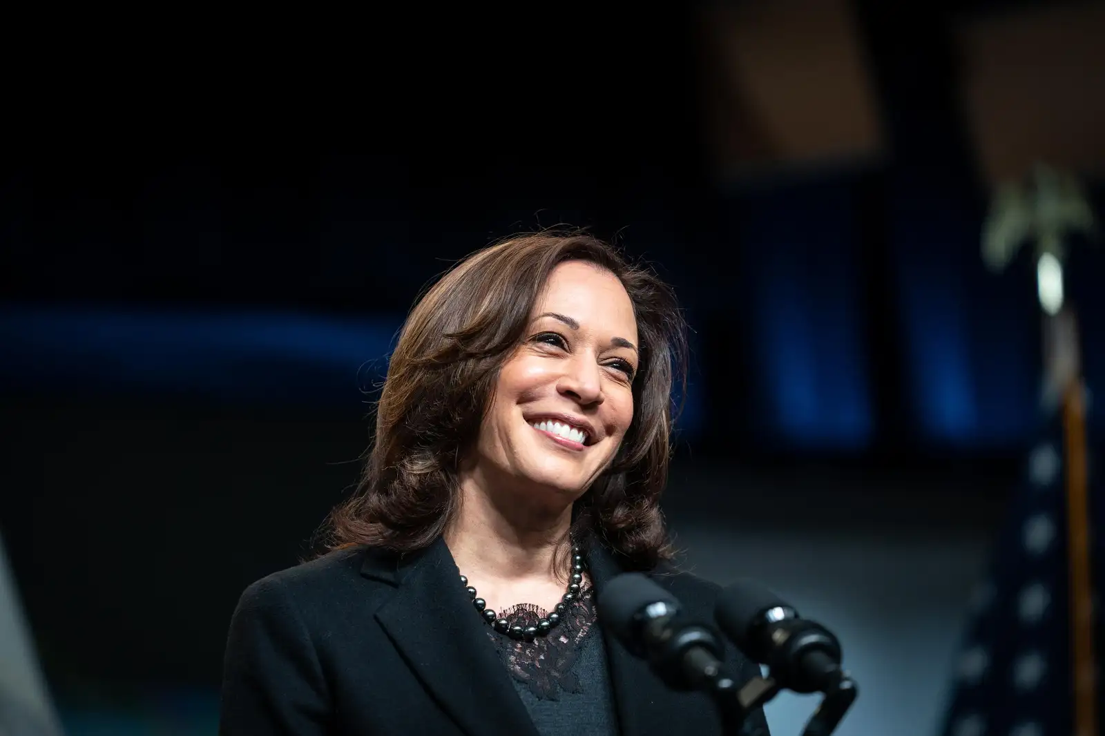 Good plan. What will happen to Kamala Harris after the election defeat