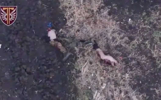 Two severed legs of Russian invader lie in field in Kupiansk direction. VIDEO