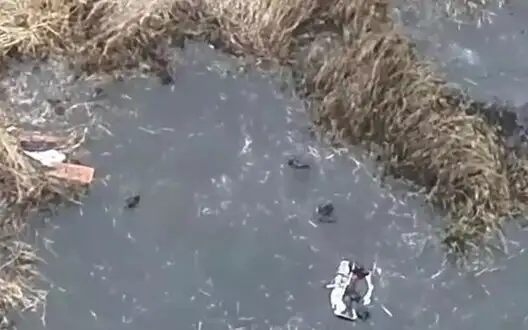 Russian infantrymen try to swim across river under targeted fire from Defense Forces. VIDEO