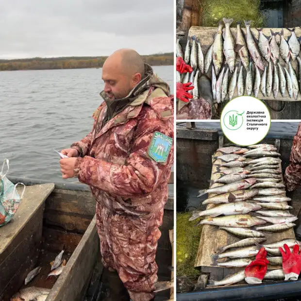 Наловили риби на десятки тисяч: Держекоінспекція викрила масштабне порушення