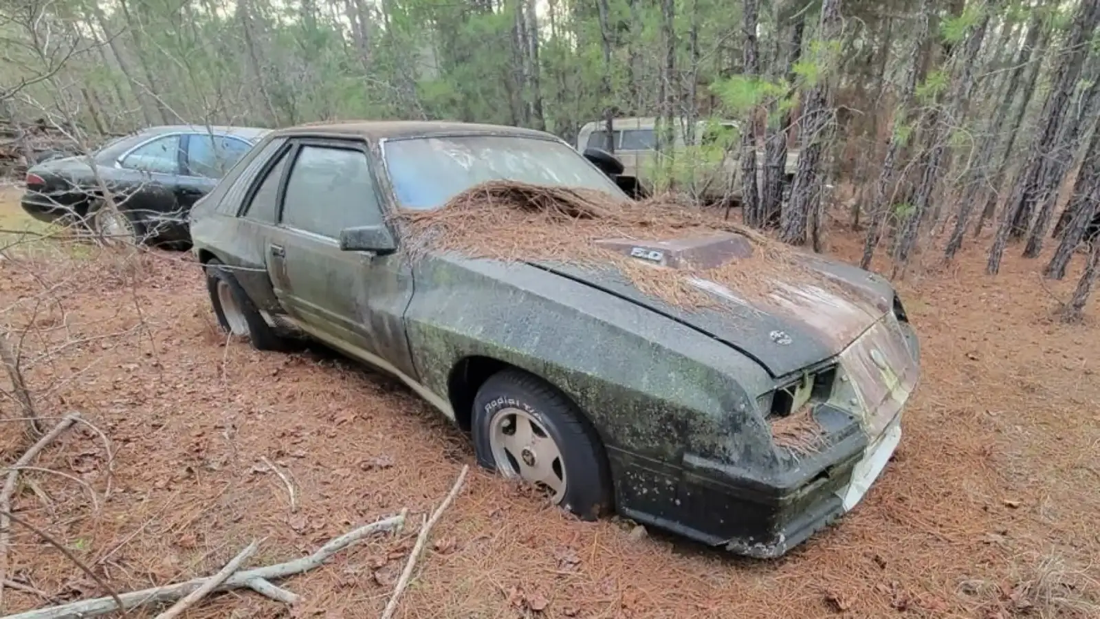 Раритетный спорткар Ford Mustang McLaren 30 лет простоял среди леса (видео)