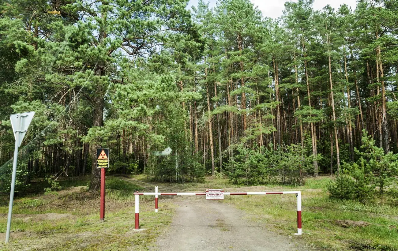 Тисячі людей "прописуються" у Чорнобильській зоні, щоб збагатитись: як працює "схема"