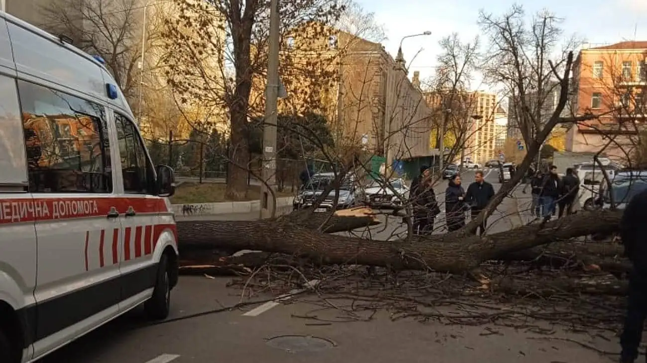 Наслідки негоди: у Києві дерево вбило жінку