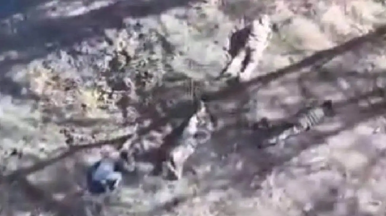 &#8203;&#8203;Russians execute five captured Ukrainian soldiers near Vuhledar, Donetsk Oblast