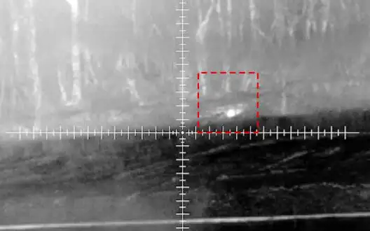 Ukrainian sniper eliminates two occupiers at distance of 800 meters. VIDEO