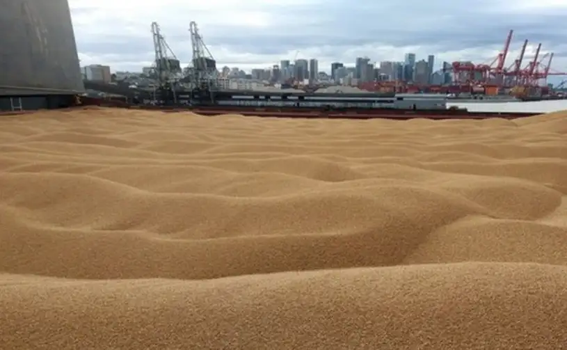 Україна врятувала від голоду 20 млн людей завдяки ініціативі Grain from Ukraine