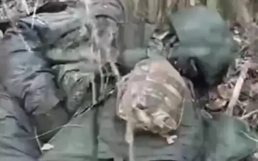 17 liquidated Russian marines lie in forest belt in Kursk region. VIDEO