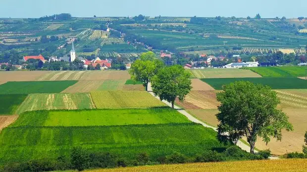 Купівля землі в Україні: зараз вигідно чи небезпечно? Аналіз цін ринку