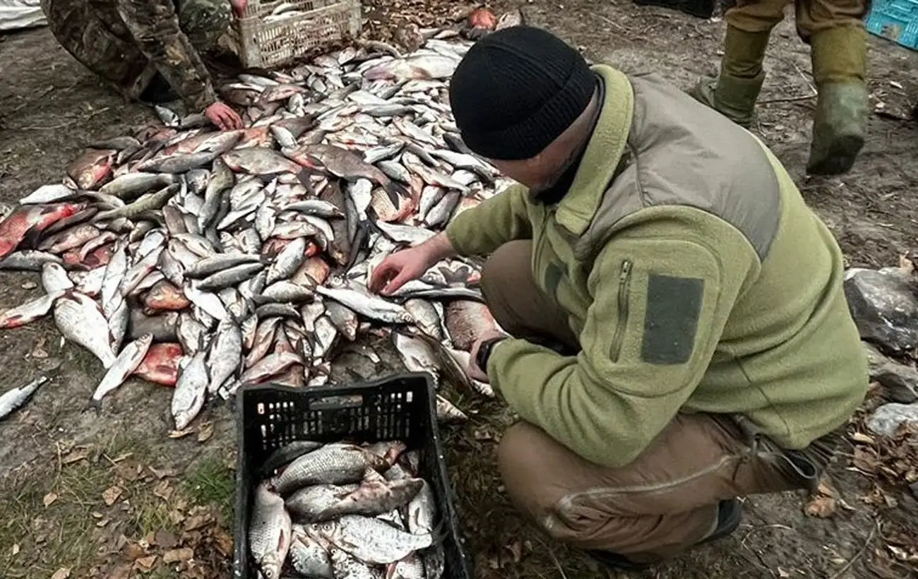 В Кировоградской области браконьеры наловили рыбы на более чем 2,5 млн гривен