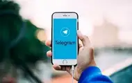 Telegram сообщил, сколько групп и каналов заблокировал в 2024 году