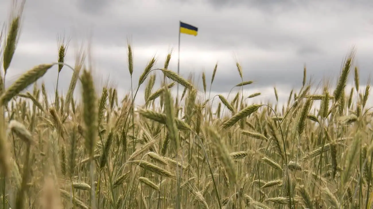 Zelenskyy: Ukraine coordinates food aid with Syria