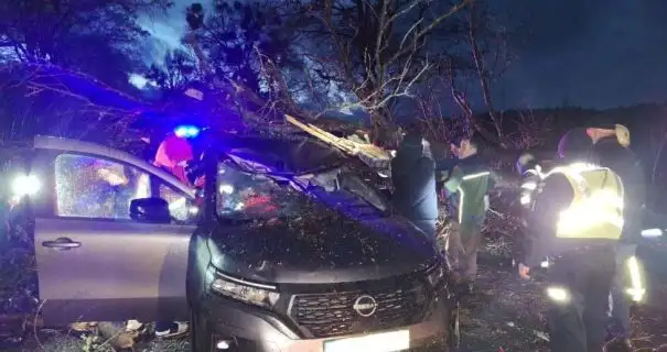 На Волині вітер повалив дерево на автомобіль, водія затисло всередині