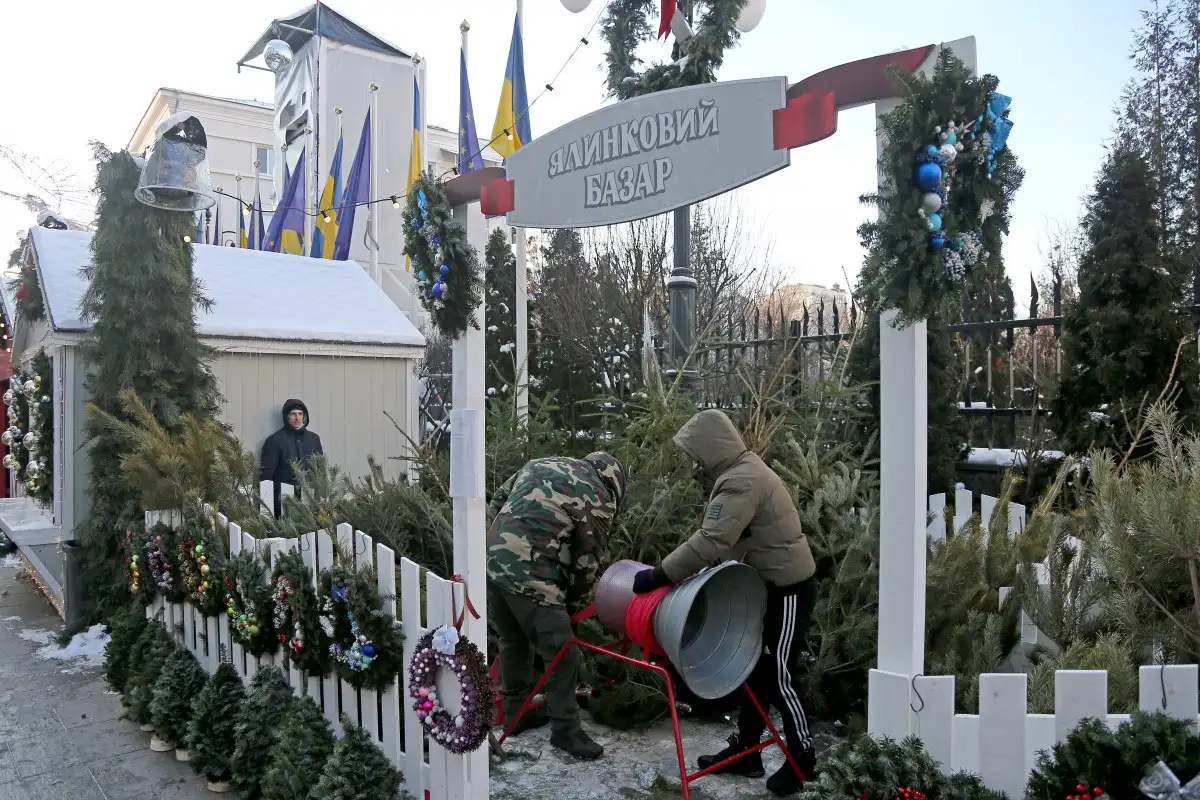 Как проверить, срублена ли законно елка на Новый год, — Минприроды