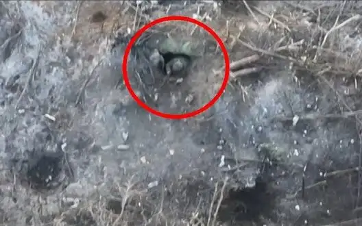 Six invaders - "two hundred", one - "three hundred", two escaped: Ukrainian soldier single-handedly repelled enemy assault. VIDEO