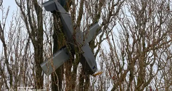 На Київщині сапери вилучили російський дрон, який застряг на дереві