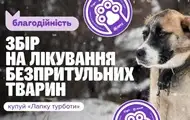 "Лапка Турботи": як допомогти тваринам у прифронтових зонах