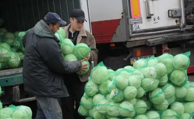 Капуста - новый "золотой продукт": что происходит с ценами на основной овощ борщевого набора