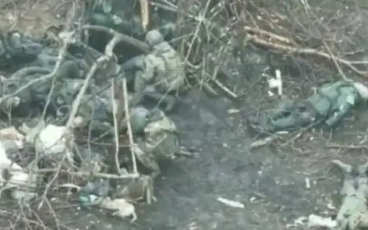 Sitting motionless among corpses of comrades did not save occupier from Ukrainian drone. VIDEO