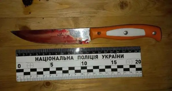 Жителя Житомирщини судитимуть за подвійне вбивство під час святкування його ювілею