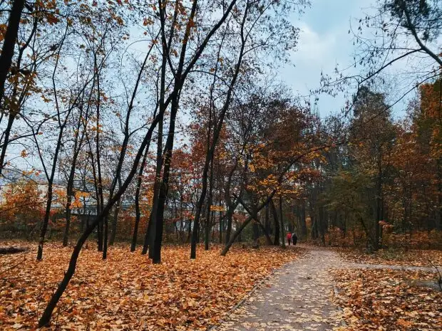 Знайшла дитину в лісі, але виявилось, що народила сама: 19-річна дівчина шокувала поліцію історією