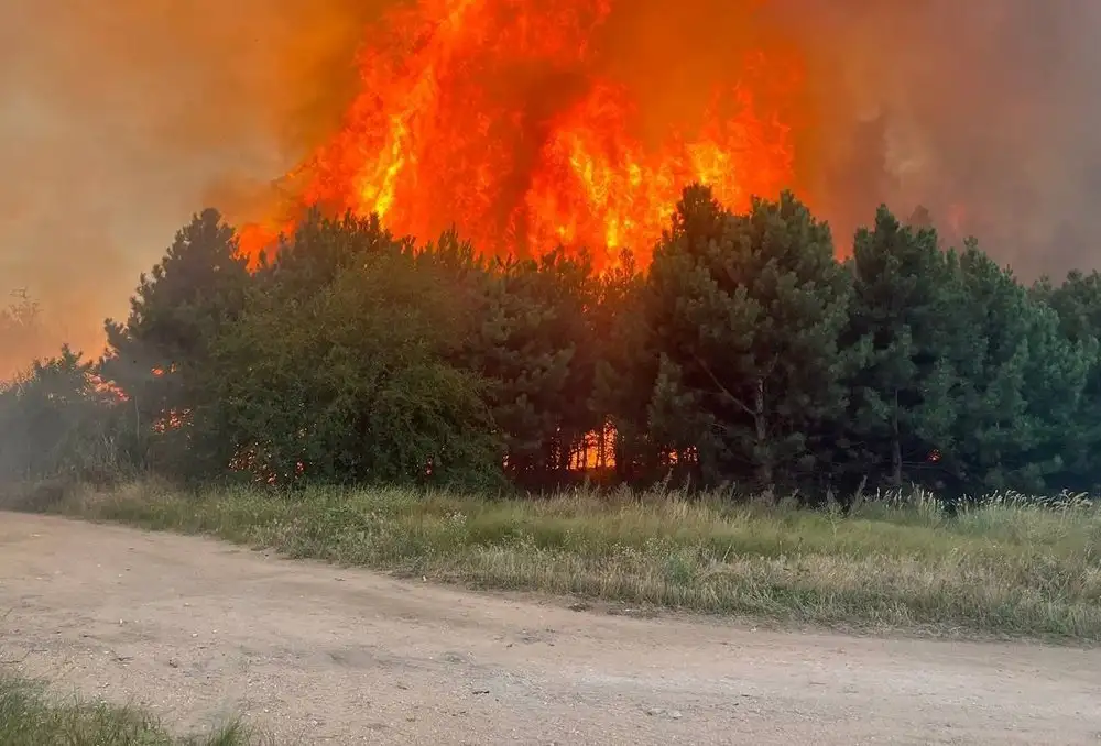 The war unleashed by Russia caused environmental damage to Ukraine of UAH 70 billion