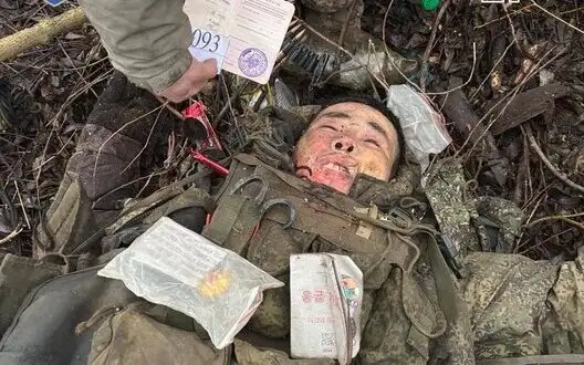 SOF destroyed group of DPRK soldiers in Kursk region. PHOTOS