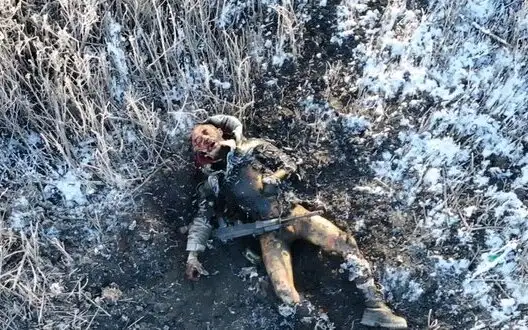 Mutilated and burnt bodies of 11 Russian invaders lie in field. VIDEO 18+