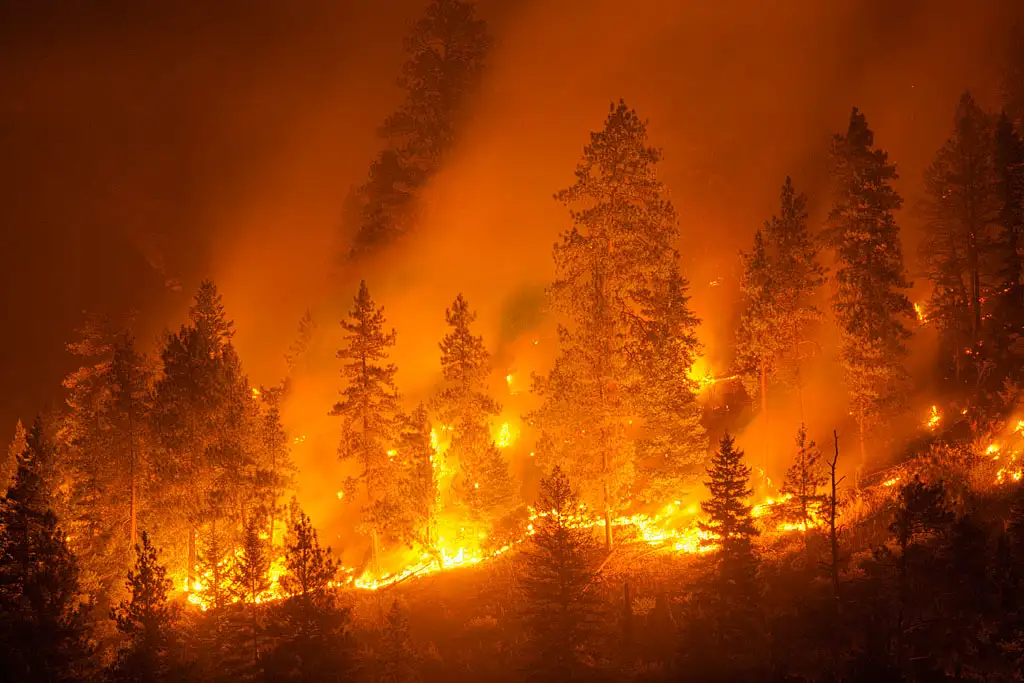 Massive wildfires engulf Los Angeles — photos and video